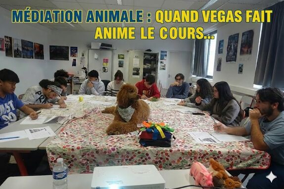 « Séance de travail en cercle : Vegas veille sur la concentration des élèves. »